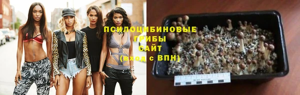 круглые Алексин