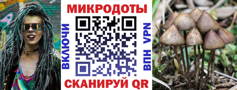 мориарти формула  Добрянка  Псилоцибиновые грибы прущие грибы  гидра  