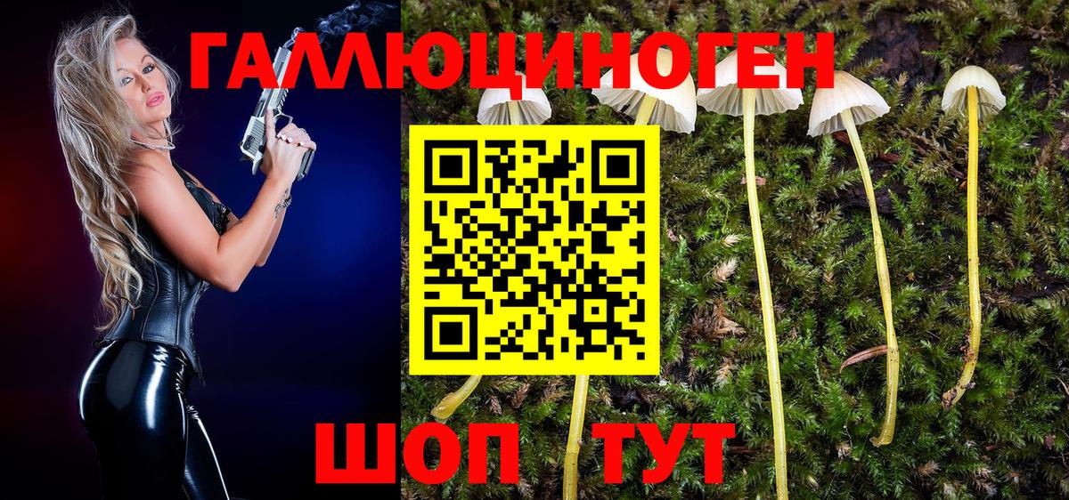 Добрянка  Псилоцибиновые грибы Magic Shrooms  наркотики  Вход с VPN 